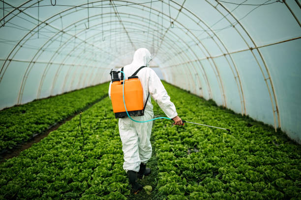 Best Emergency Pest Control  in Marana, AZ