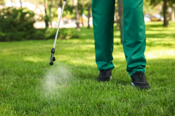 Best Affordable Pest Control Services  in Marana, AZ